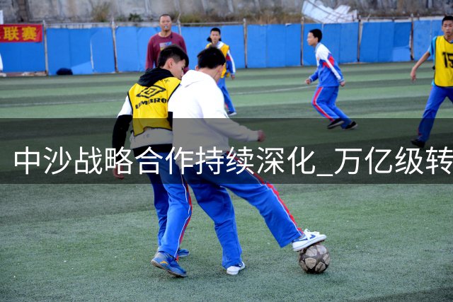中沙战略合作持续深化 万亿级转型计划稳步推进