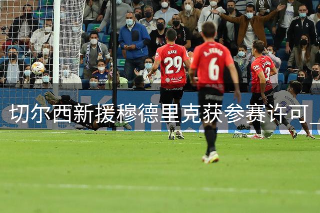 切尔西新援穆德里克获参赛许可 将亮相香港季前友谊赛