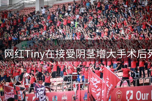 网红Tiny在接受阴茎增大手术后死亡，遗体运回伦敦，用74万美元的黄金棺材下葬