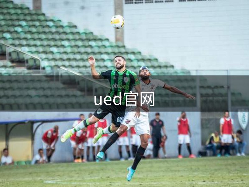 网站介绍